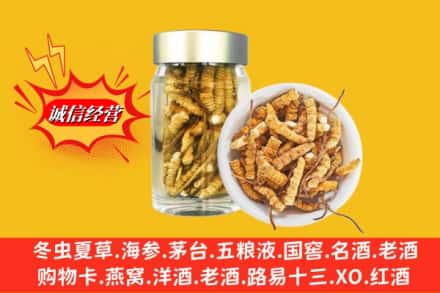 合肥市庐江回收散虫草