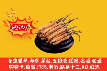 合肥市庐江求购回收虫草多少钱每克